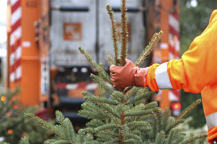 Weihnachtsbaumabholung